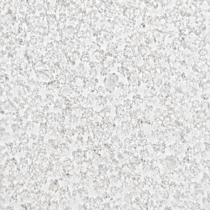 Citric Acid (E330)