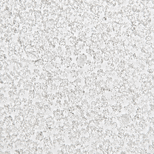 Citric Acid (E330)