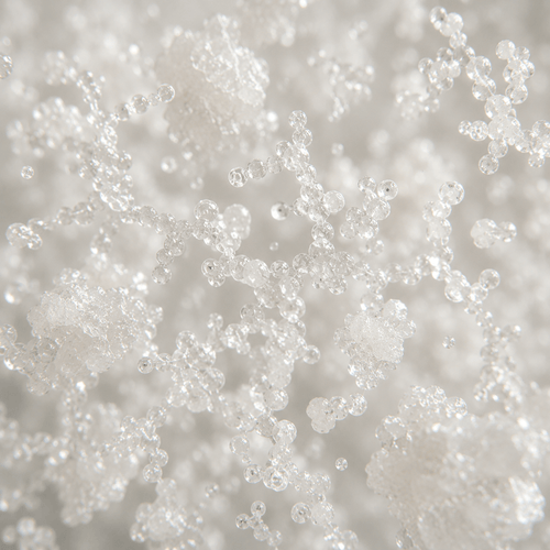 Fructo-Oligosaccharides (FOS)