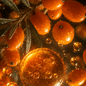 Sea Buckthorn Oil