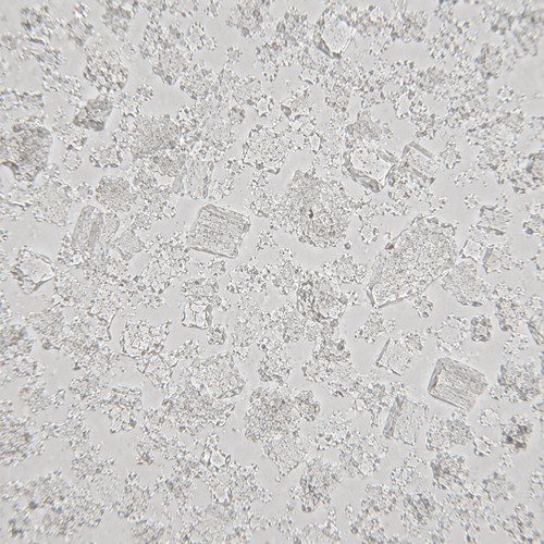 Sodium Benzoate (E211)